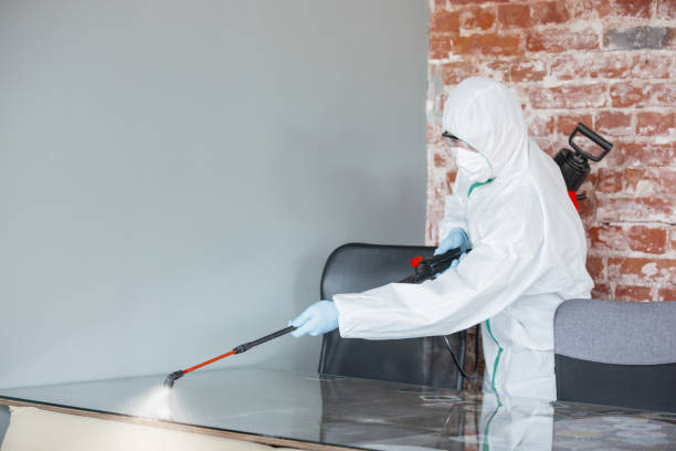 Best Biohazard Mold Removal  in Glenville, WV