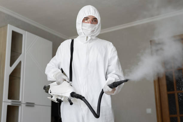 Why You Should Choose Our Mold Remediation Services in Glenville, WV